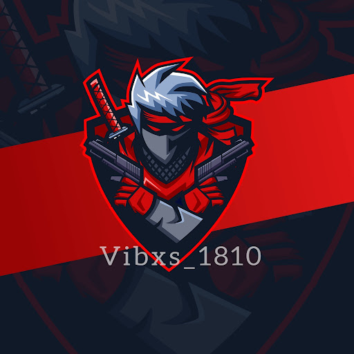 Vibxs_1810