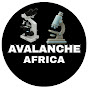 Avalanche Africa logo