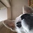 @hahahappy-rh8ch