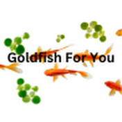 Goldfish for You.