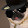 Pug