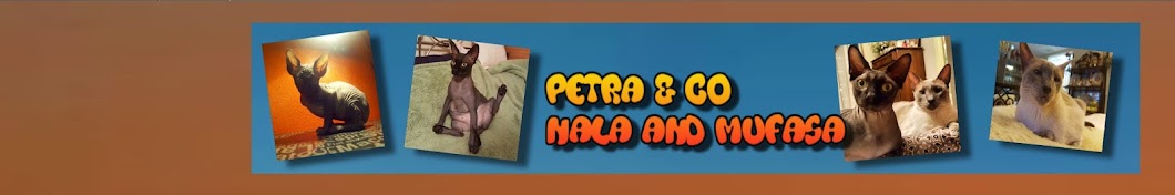 Petra & Co Nala and Mufasa Avatar de chaîne YouTube