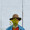 Chris Velan
