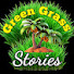 drhRTGH70uc-channel-avatar-Green Grass Stories🌿
