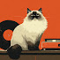 1LO7cfvLQik-channel-avatar-Velvet Paw Jazz