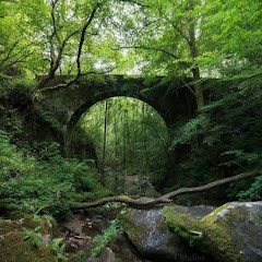 境界線の迷い人