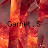 Garnet . S
