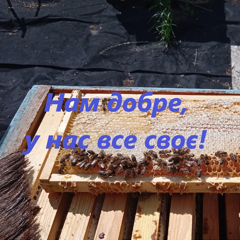 Нам добре у нас все своє!