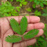 C8zBVm6oqVU-channel-avatar-Village facts life