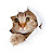 @petsworld-y4l Avatar