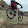 Mark D'Angelo Colorado Springs Mountain Biking