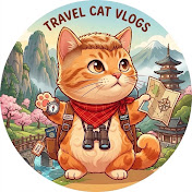 Milo the Cat- 360VR&4k
