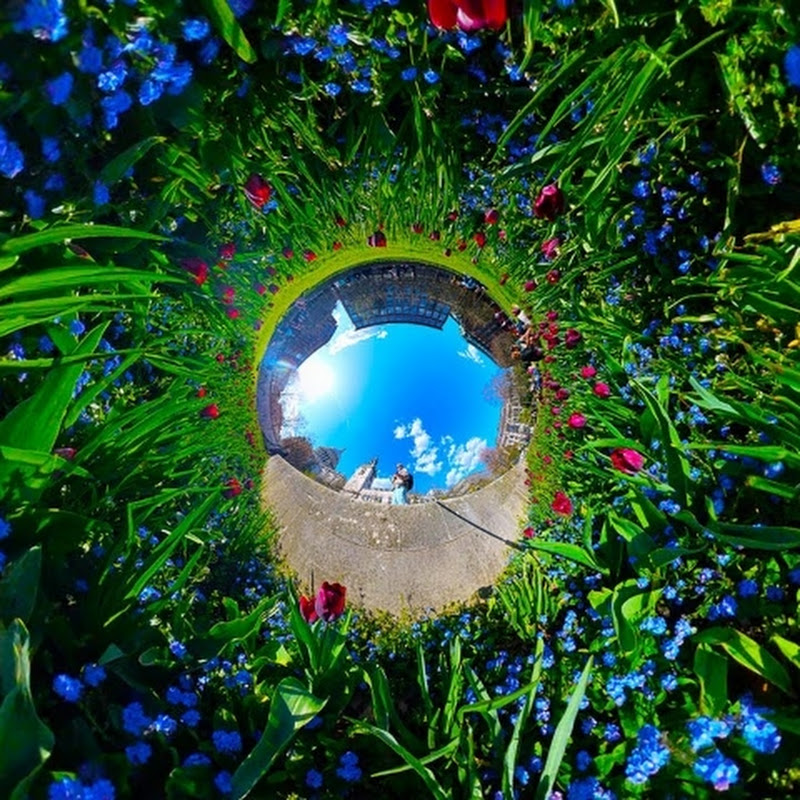 TheWorld with Insta360