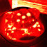 XUQPPkx1cfU-channel-avatar-DeepCow NewNosh