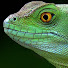 Artur Zveroboi