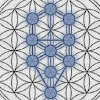 OnlyHempFuture