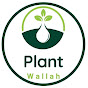 plant wallah