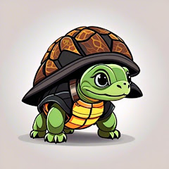 The Flashy Turtle