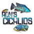 GX0GmX9QxSg-channel-avatar-Ron's Cichlids