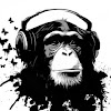 Rap Monkey