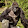 Harambe Black Life Matters Big dick player