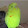 13 Cici Bird
