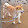 柴犬小次郎 Shiba inu koji