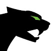 Arctic Cat