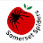 Somerset Spiders