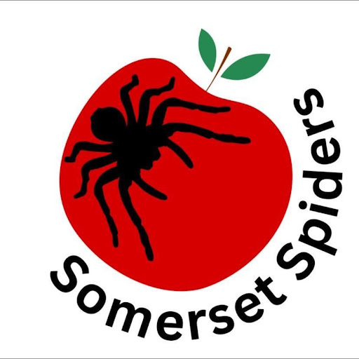 Somerset Spiders