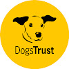 Dogs Trust