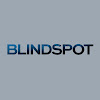 Blindspot