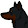 Mishkia The Rottweiler Colored Husky