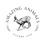 Amazing Animals logo