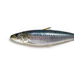 games魚介