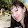 Raina Diamond