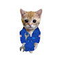 Kitty Explains Cars Avatar