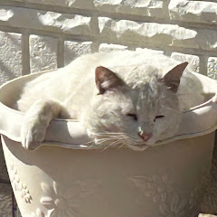 ジュセのゲーム日記 You速 Youtubeゲーム実況動画速報