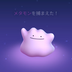 山本せいや