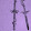Purple Sword 5