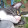 Cat need subsuribers 20.000 Cats