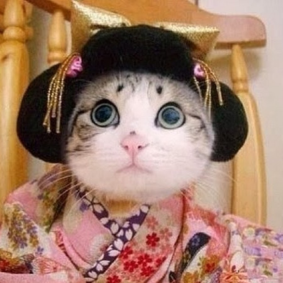 Video Lucu Banget Bikin Ngakak Video Kecelakaan Lucu Gila ...