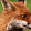 ThatFoxGuy30 Watch/Talk/Subscribe