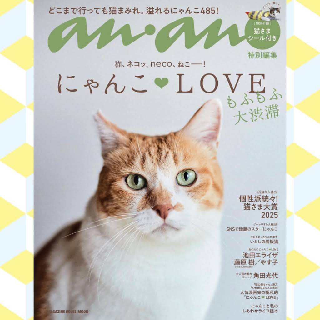 Post from 元野良猫チャチャとR me - YouTube