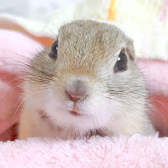 まめごとわたし / mamego and me