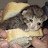 @BreadMeow8w8