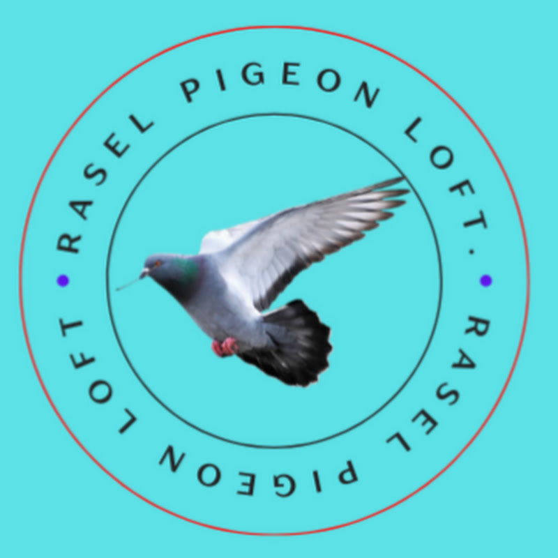 Rasel Pigeon Loft
