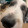 lenny face