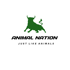 Animal Nation 