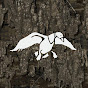 duckbuckcommander